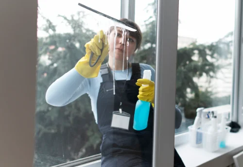 Nettoyage de vitres intérieures et extérieures au Pêchereau